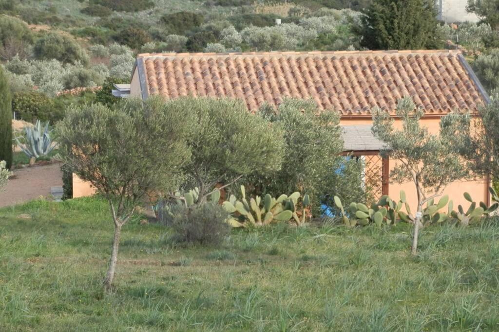 הוילה מורתה מריה Mare E Campagna מראה חיצוני תמונה