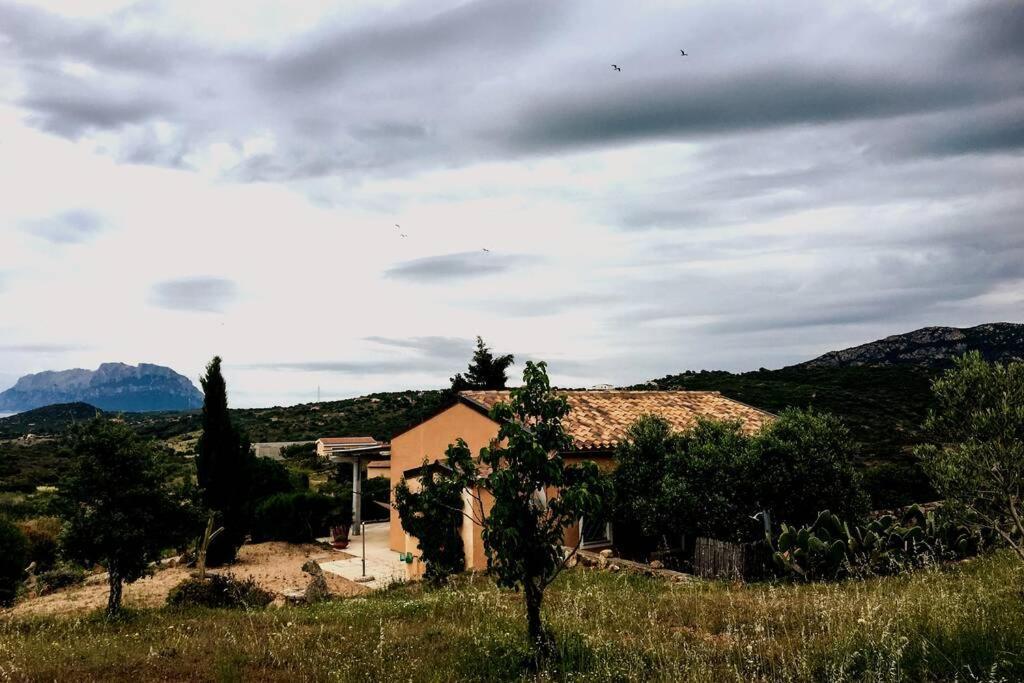 הוילה מורתה מריה Mare E Campagna מראה חיצוני תמונה